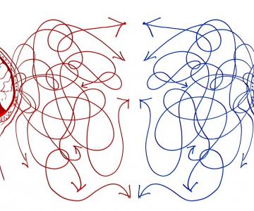La Programmation Neuro-Linguistique PNL