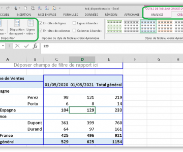 Excel Tableau Croisé Dynamique : Disposition