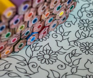 Les coloriages pour adultes